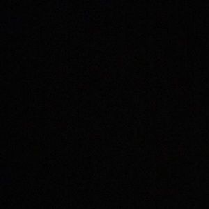 Meet your Posher, Samuel